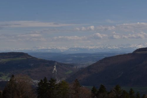 DSC 5494 (1)