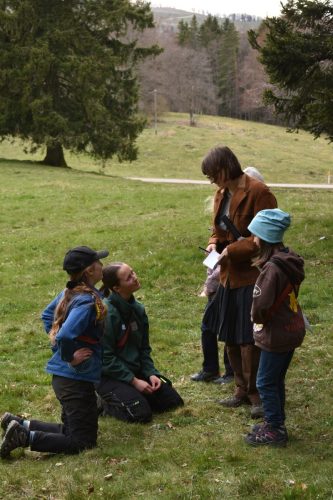 DSC 5523 (1)